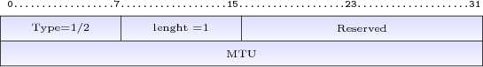 Format de l'option MTU'